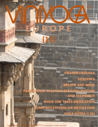 Viniyoga Europe 11