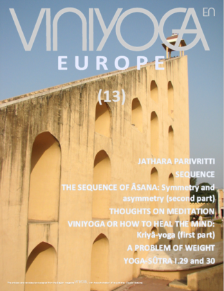 Viniyoga Europe 13