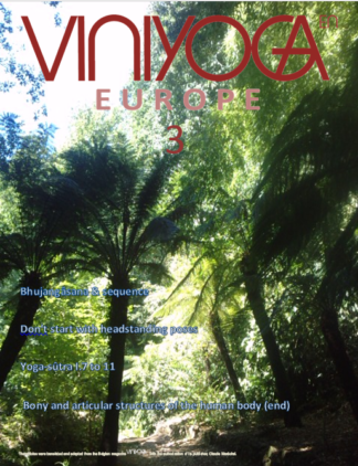 Viniyoga Europe 3