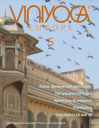 Viniyoga Europe 5