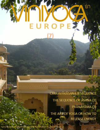 Viniyoga Europe 7