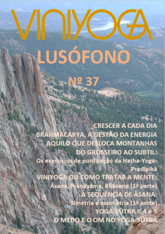 Viniyoga Lusófono 37
